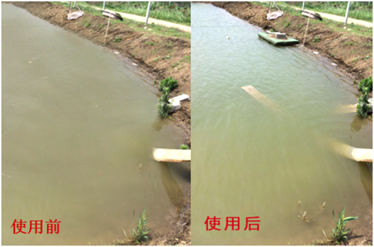 渾濁水、對(duì)蝦吃料差怎么處理？